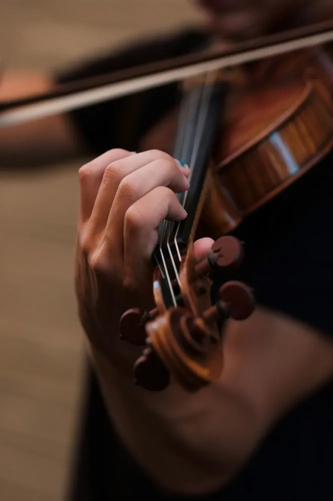 violon