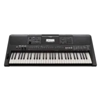 PSR-E463