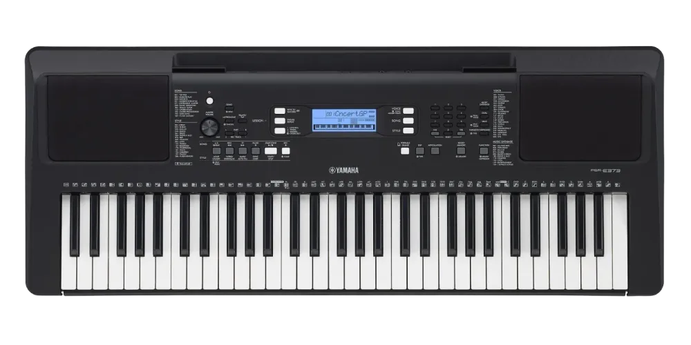 PSR-E373
